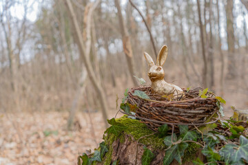 Fototapeta premium Golden Rabbit on Easter Basket with Ivy by forest