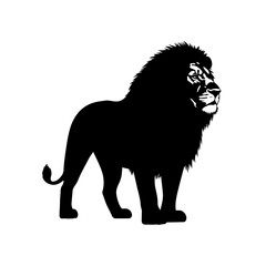 Obraz premium Majestic Silhouette of Lion: A powerful lion stands tall, its striking silhouette showcasing the essence of strength and dominance. A symbol of royalty, courage and pride