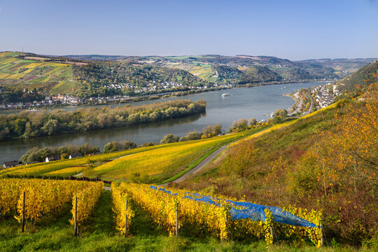 Blick ins Rheintal bei Lorch