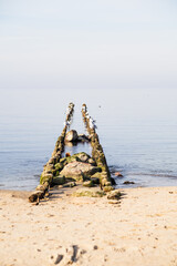 Fototapeta premium Seagulls perched on wooden groynes in calm sea water. Scenic coastal landscape with sandy beach at shoreline. Peaceful ocean horizon during sunny spring day for travel illustration.