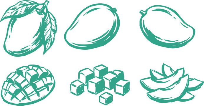 Draw Mango Fruit Set Tropical Mango Slices Cubes and Whole Fruit Vector Illustration Collection.