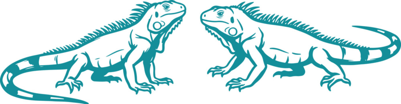 Draw Iguana Lizard Set Reptile Wildlife Animal Vector Illustration.