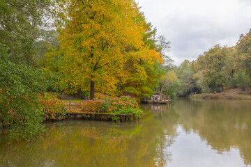 Obraz premium The Atatürk Arboretum is a large green area showcasing trees and woody plants, located in the Sarıyer district of Istanbul, on the Kemerburgaz-Bahçeköy road.