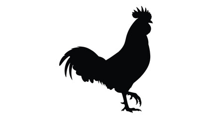 A black silhouette of a rooster standing on one leg © SILHUETTECHEMBER