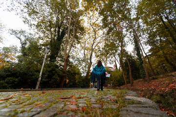 Obraz premium Located between Beşiktaş and Ortaköy, Yıldız Park, the largest grove in central Istanbul, offers visitors a magnificent natural and colorful experience right in the heart of the city.