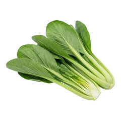 Perfectly fresh, vibrant green leafy vegetables, offering a dreamlook of garden-fresh goodness and healthy living, ideal for culinary creations and nutritious meals