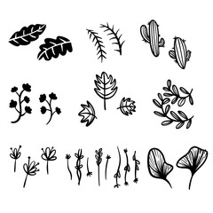 illustration vector graphic nature icon set for logo, icon, dwsign, template, etc