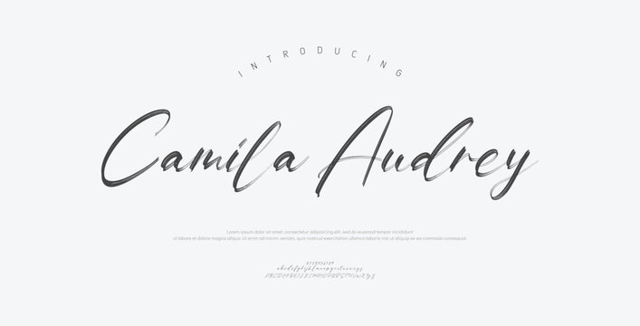 Camila Audrey, Hand drawn vector alphabet. Modern monoline signature script font. Elegant Signature Font. Best Alphabet Beautiful Calligraphy Signature Font
