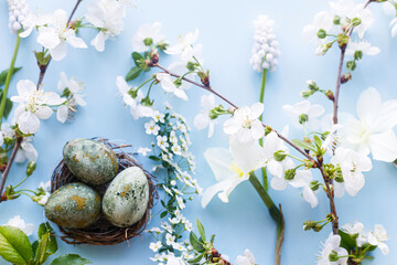 Easter flat lay. Stylish easter eggs in nest,daffodils and cherry flowers on blue background. Easter celebration, season greetings mockup. Spring modern floral banner © sonyachny