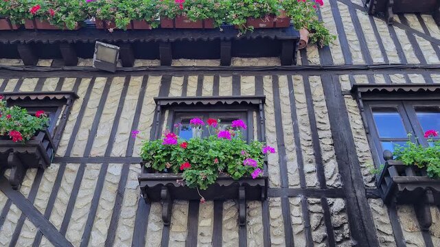 Charming medieval half timbered house facade with balconies and geraniums in la alberca, spain