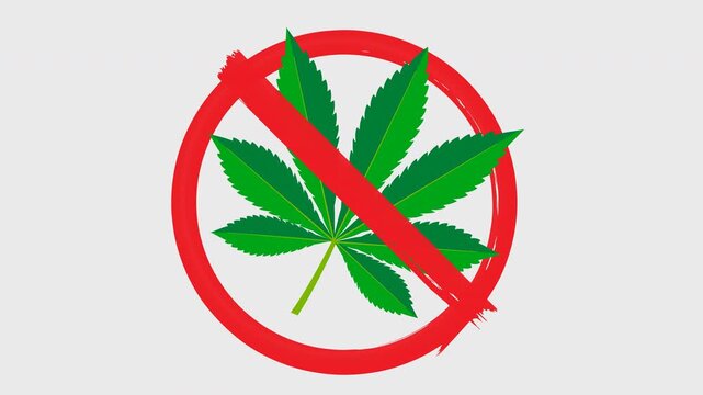 Marijuana Cannabis Leaf Prohibition with a crossed red circle. Anti-cannabis symbol animation