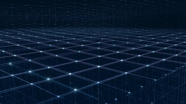 Dark Blue Grid Network Visualization