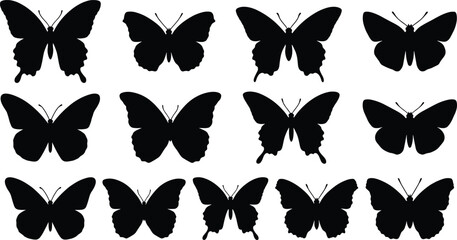 Butterfly silhouettes collection, flying butterfly insect poses set, black butterfly wing shapes, isolated nature vector illustration pack © Boony