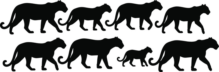 Panther silhouettes collection, walking black panther big cat poses set, wild feline animal shapes, isolated vector illustration pack © Boony