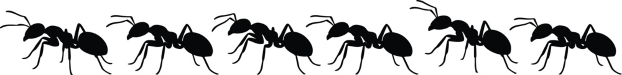 Ant silhouettes collection, crawling ant insect poses set, black ant bug shapes, isolated nature vector illustration pack © Boony
