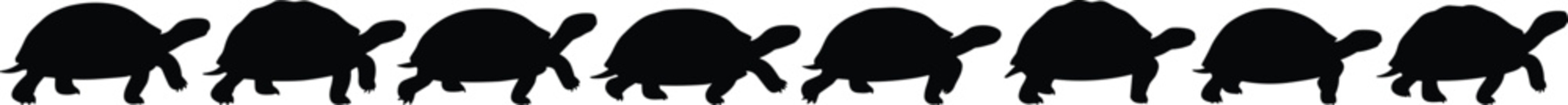 Turtle silhouettes collection, walking tortoise reptile poses set, black turtle animal shapes, isolated wildlife vector illustration pack