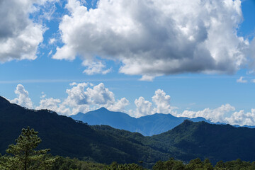 Fototapeta premium Mountain Silhouette with Pine Trees Under Blue Sky in the Philippines