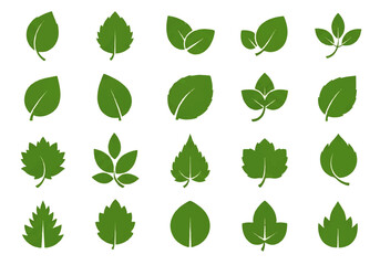 Fototapeta premium A flat design illustration vector of various green leaves arranged in rows on a white background.
