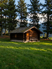 Rustic Wooden Cabin Nestled in Serene Pine Forest with Sunlit Grassy Clearing and Distant Mountain Backdrop Evoking Peaceful Outdoor Retreat or Summer Vacation Vibe