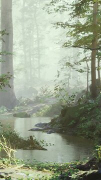 A stream flows through a forest filled with tall trees and thick foliage. Morning fog hangs in the air. Rocks are visible in the water. Nature shows its beauty without any people around.