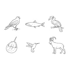 Animals Coloring Page Designs Black and White animal Illustration Outline Illustrations Collection  Animals Clipart Bundle 