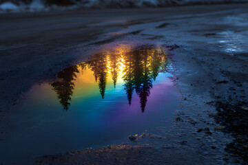 Fototapeta premium Vibrant rainbow iridescent puddle reflecting a forest silhouette and golden sunset on a dark road, creative environmental and nature concept.