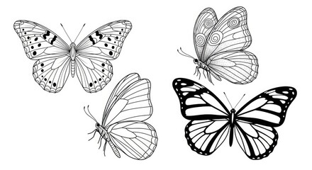 Obraz premium Four butterfly species with distinctive wing patterns and markings