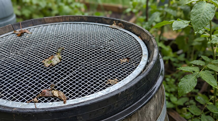 Sustainable rainwater harvesting system enhancing a lush garden with environmental consciousness