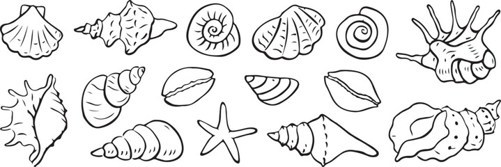 Fototapeta premium Collection of various seashells and starfish illustrations