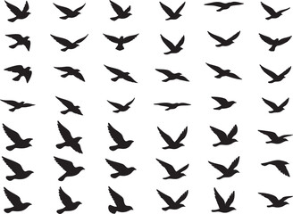 Black Bird Flock Flying Swallow Pattern Silhouette