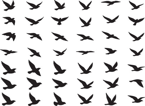 Black Bird Flock Flying Swallow Pattern Silhouette