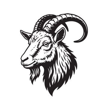 Goat Portrait Illustration on Isolated Background