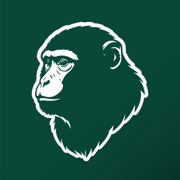 Monkey Portrait Illustration with White Outline on Green Background