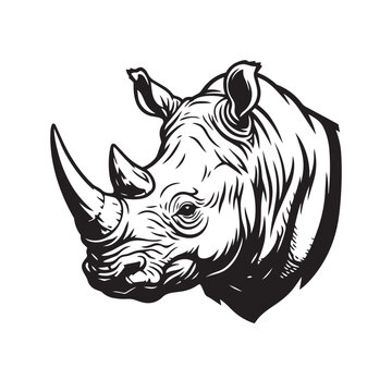 Rhinoceros Portrait Illustration on Isolated Background