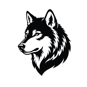 Wolf Portrait Illustration on Isolated Background