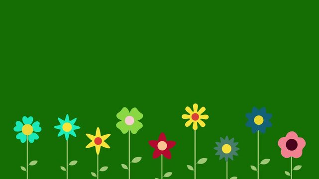 A row of simple, flat design flowers with leaves and stems arranged along the bottom edge against a green screen. Flat flowers animation on chroma key background