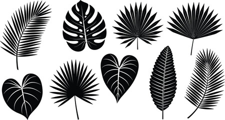 Vector collection of black tropical leaf silhouettes including monstera palm and fern foliage isolated on white background for summer beach and exotic nature design © Itz  Parvin