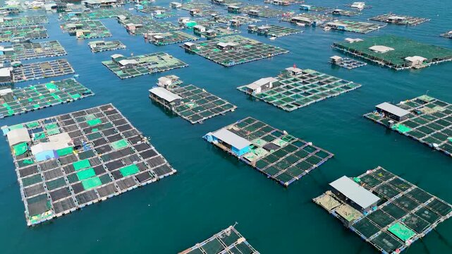 Aerial top view of marine farms structures of aquaculture cages for growing marine animals for food. View of fishing village on tropical island province.