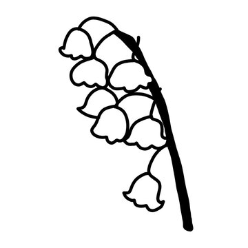 lilly of the vally flower floral nature organic line hand drawn black and white silhouette outline
