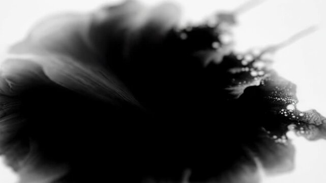 Black ink slowly spreads and dissolves on a white surface. Abstract patterns emerge as the liquid expands outwards.
