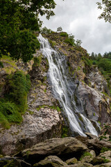 Obraz premium the famous powerscourt waterfall close by Enniskerry, County Wicklow in ireland