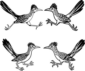 Obraz premium Roadrunner Bird Outline Illustration Set Running Bird Vector Collection