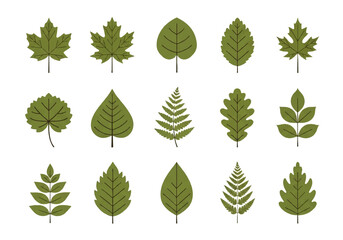 A flat design illustration vector featuring twelve different green leaves with black outlines on a white background.