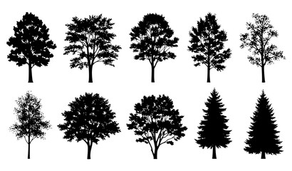 Fototapeta premium Diverse forest tree silhouette vector set with deciduous and conifer species isolated on white background