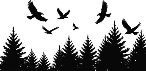 Wild birds soaring above dense coniferous forest trees, mysterious forest horizon silhouette isolated on white background © Masud