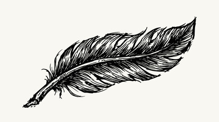 Detailed illustration of a feather showcasing intricate details and textures, suitable for artistic use © Payu