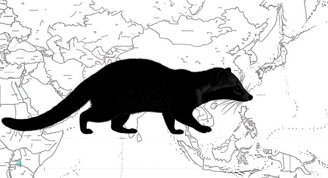 Black mammal walks across an Asian map.