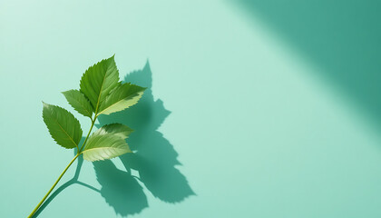 Fototapeta premium Green leaves on stem with shadow on teal background leafy branch