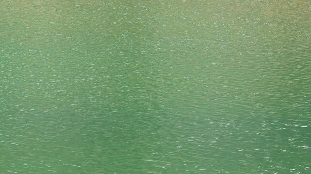 春風が湖水に波紋を作る02