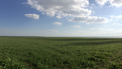 Obraz premium Expansive Green Grassland under Bright Blue Sky with Scattered White Clouds Wide Open Natural Landscape for Travel or Environmental Projects